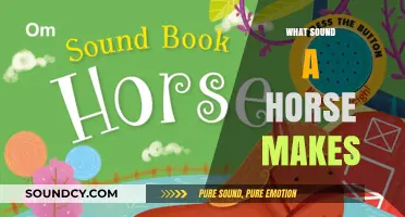 Unraveling the Unique Neigh: What Sound Does a Horse Make?