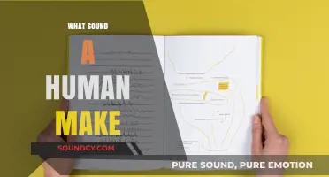 Unveiling the Unique Sounds Humans Make: From Whispers to Laughter