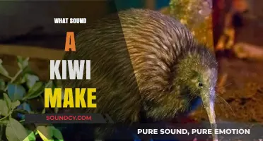 Unveiling the Unique Call: What Sound Does a Kiwi Bird Make?