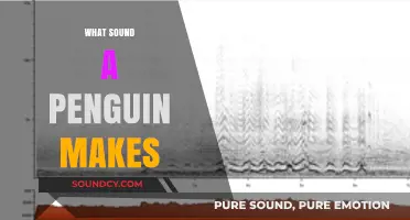 Discover the Unique Vocalizations: What Sound Does a Penguin Make?