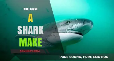 Unveiling the Mystery: What Sound Does a Shark Actually Make?