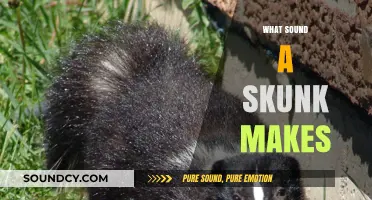 Unveiling the Surprising Sounds of Skunks: What Do They Really Say?