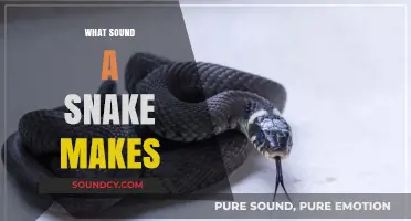 Unveiling the Mystery: What Sound Does a Snake Actually Make?