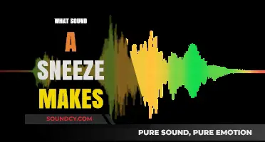 Exploring the Unique Sound of a Sneeze: From 'Achoo' to 'Hatchoo