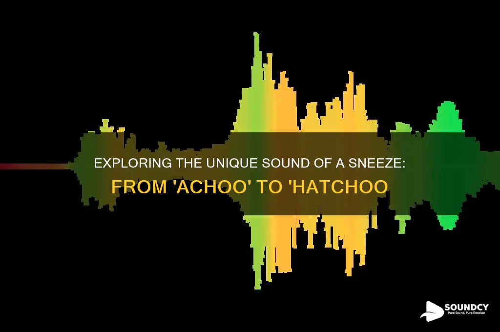 what sound a sneeze makes