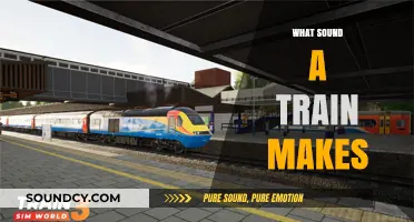 The Whistles, Horns, and Rumbling Rhythms of Train Sounds