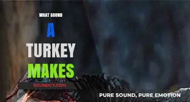 Gobble Gobble: Unraveling the Unique Sounds of Turkeys