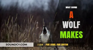 Unveiling the Mystique: What Sound Does a Wolf Truly Make?