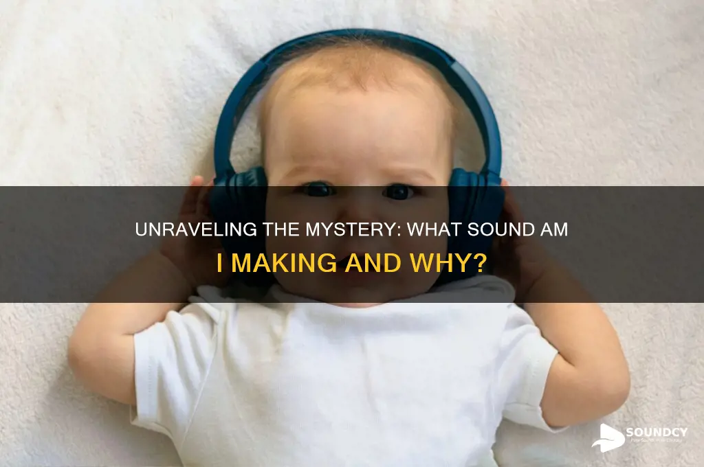 what sound am i making