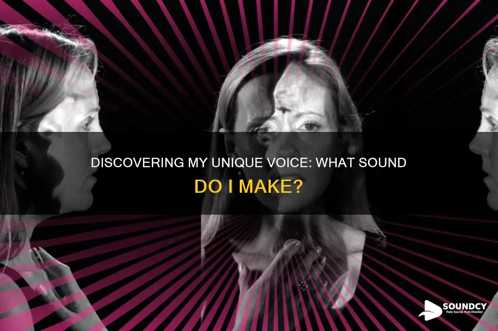 what sound an i make