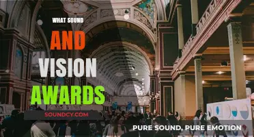 Exploring the Prestigious Sound and Vision Awards: Celebrating Excellence in Media