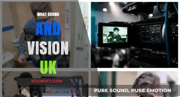 Exploring What Sound and Vision UK Offers: A Comprehensive Guide