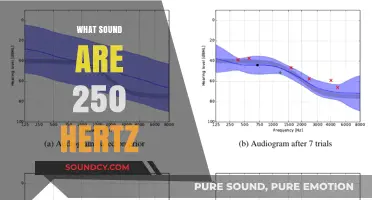Understanding the Unique Tone of 250 Hertz Sound Frequencies