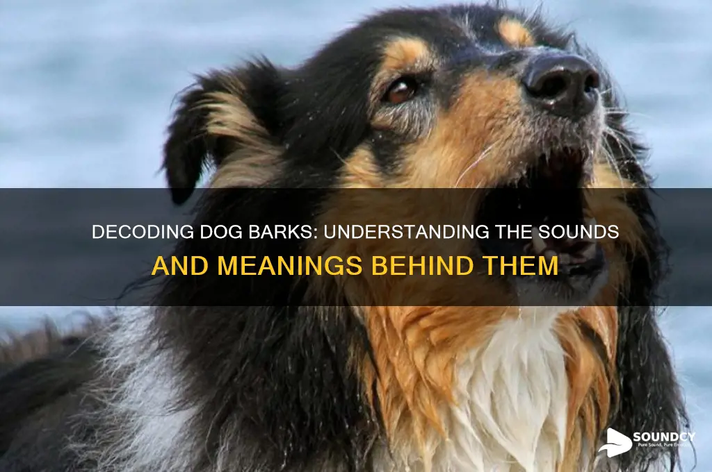 what sound are dogs bark