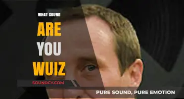 Discover Your Unique Sound: The 'What Sound Are You' Quiz