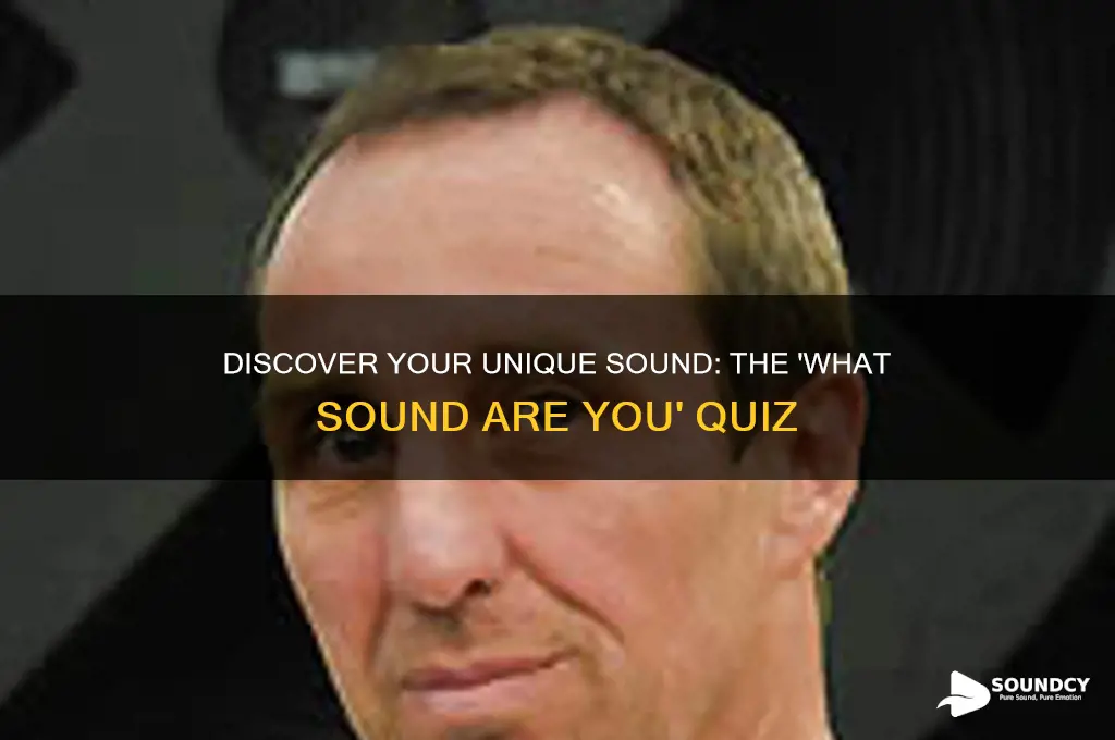 what sound are you wuiz