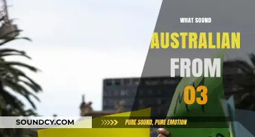 Unraveling the Unique Sounds of Australian Slang from 2003