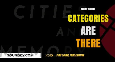 Exploring the Diverse World of Sound Categories and Their Uses