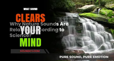 Calming Sounds: Discover the Mind-Clearing Power of Nature's Melodies