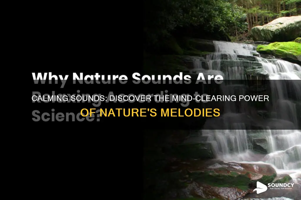 what sound clears your mind