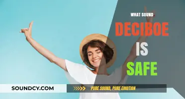 Safe Listening Levels: Understanding Decibel Limits for Ear Health