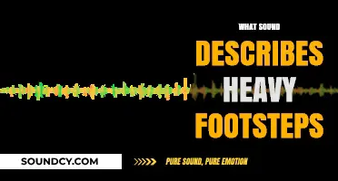 Thudding Echoes: Identifying the Sound of Heavy Footsteps