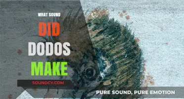 Unveiling the Mystery: What Sound Did Dodos Really Make?