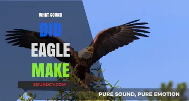 Unveiling the Majestic Eagle's Unique Vocalizations and Calls