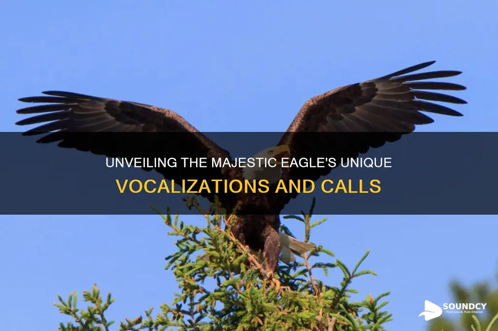what sound did eagle make