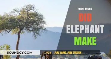 Unveiling the Majestic Trumpet: What Sound Does an Elephant Make?