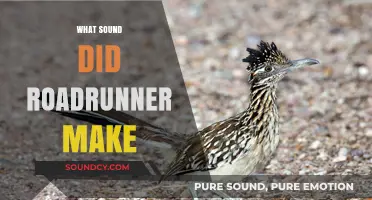 Unraveling the Iconic Sound of the Roadrunner: A Cartoon Mystery