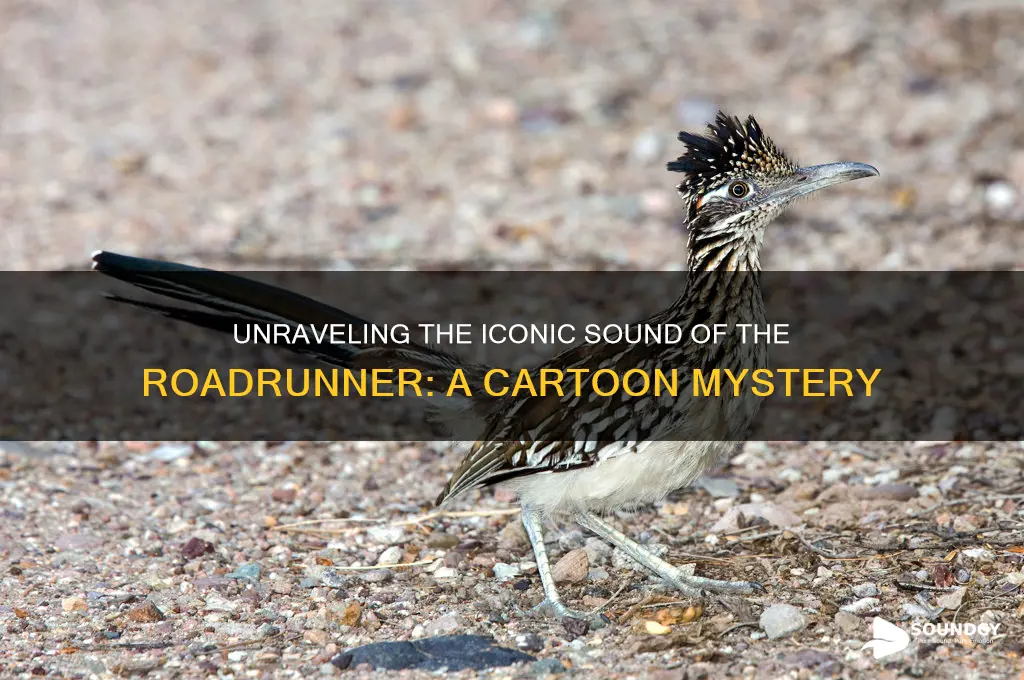 what sound did roadrunner make