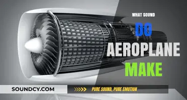 The Roaring Symphony: Decoding the Unique Sounds of Aeroplanes