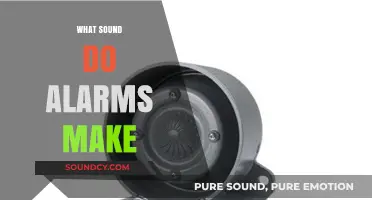 Exploring the Universal Sounds of Alarms: What Do They Really Mean?