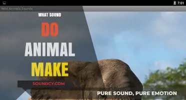Exploring the Unique Sounds Animals Make in the Wild