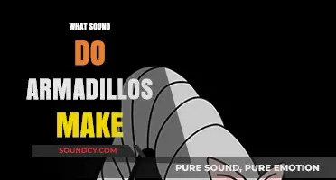 Unveiling the Unique Noises: What Sound Do Armadillos Make?