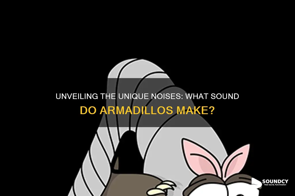 what sound do armadillos make