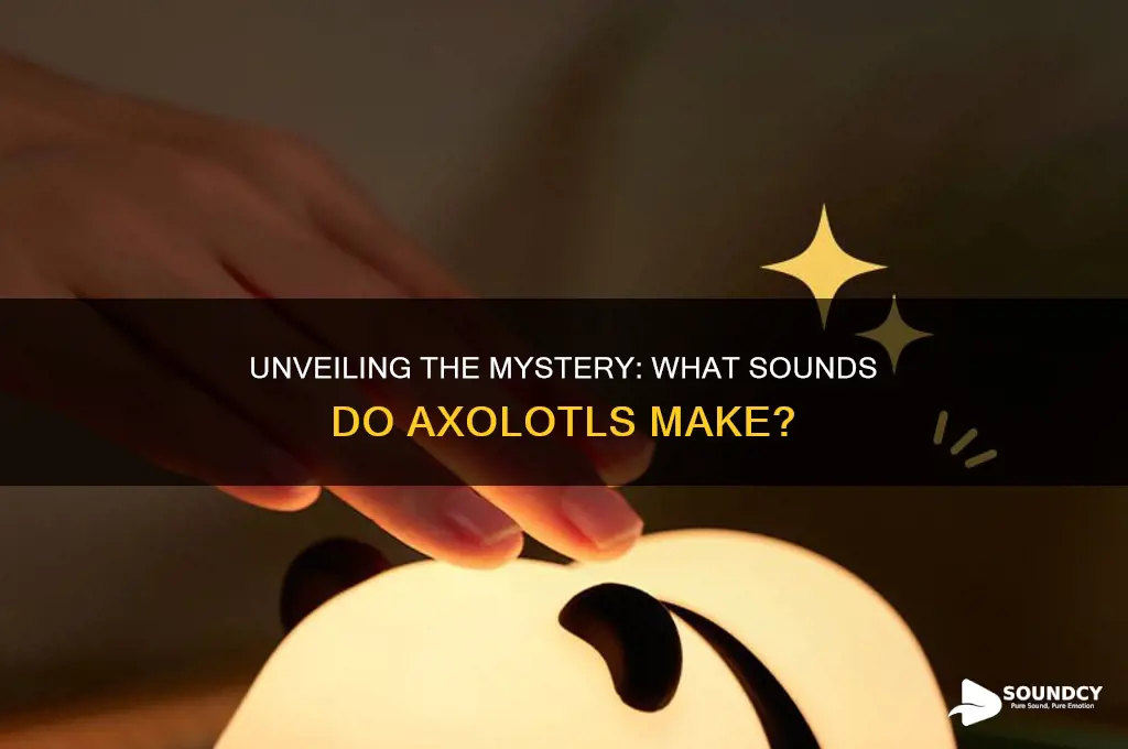 what sound do axolotls make