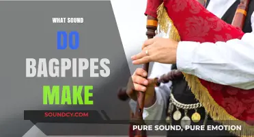 Unraveling the Unique, Haunting Sound of Traditional Scottish Bagpipes