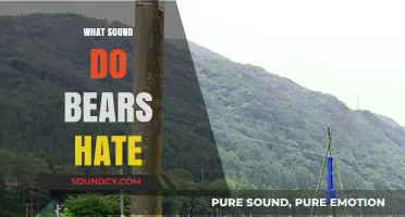 Unbearable Noises: Discovering Sounds That Bears Despise and Avoid