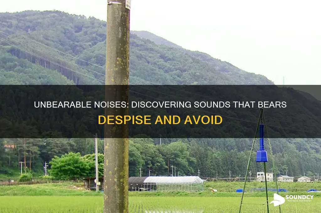 what sound do bears hate