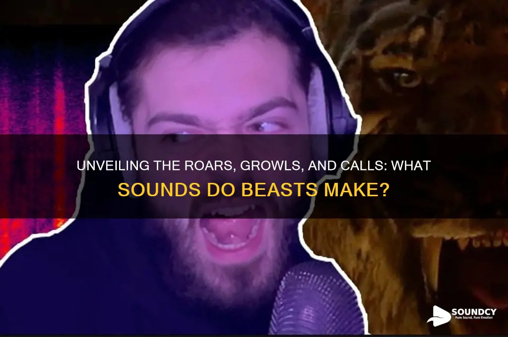 what sound do beas make