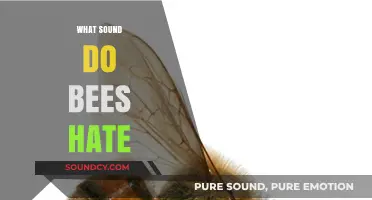 Buzz Off: Uncovering the Sounds That Drive Bees Away