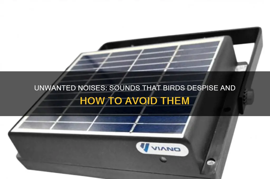 what sound do birds hate