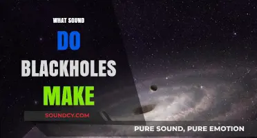 Unveiling the Cosmic Silence: What Sound Do Black Holes Make?