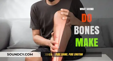 What Sound Do Bones Make? Exploring the Creaks, Cracks, and Pops