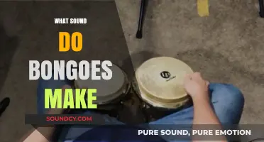 Exploring the Unique Rhythms: What Sound Do Bongos Make?