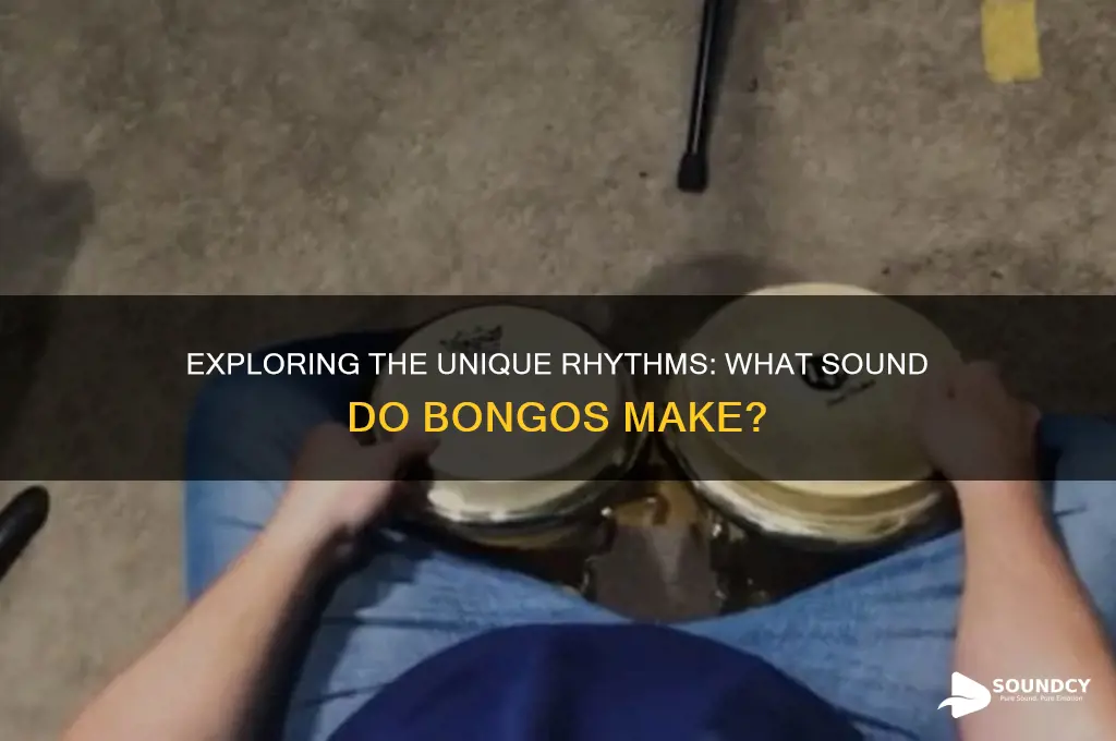 what sound do bongoes make