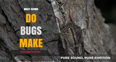Exploring the Unique Sounds Bugs Make in Nature's Symphony