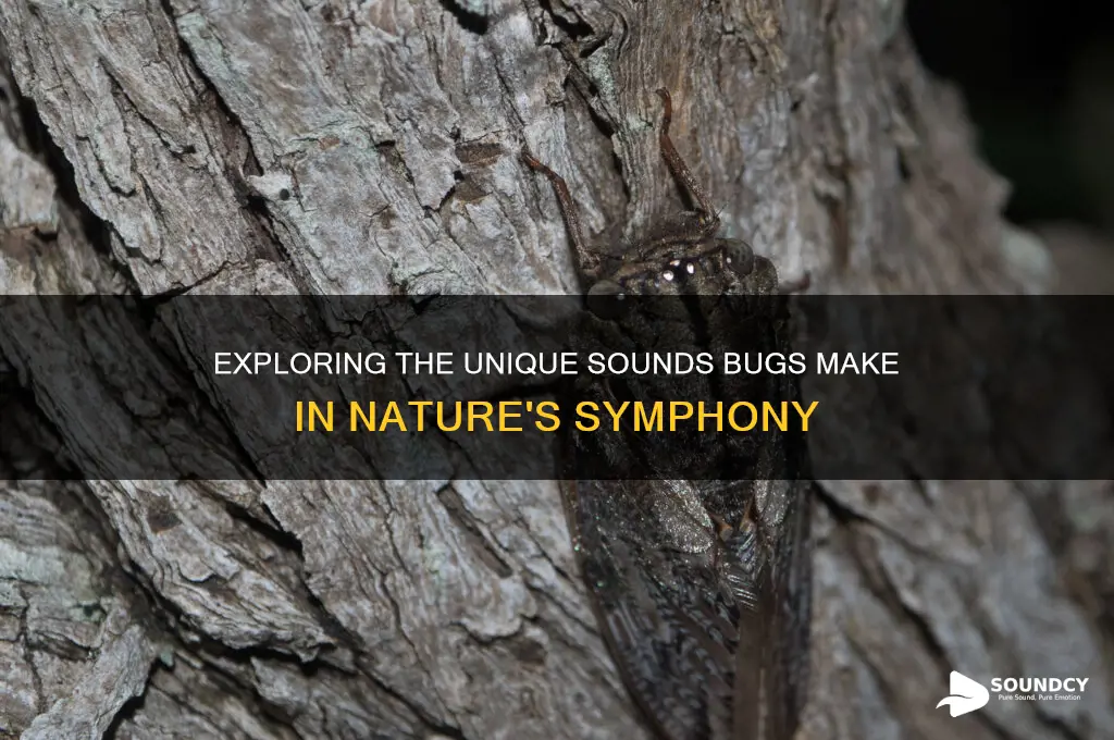 what sound do bugs make